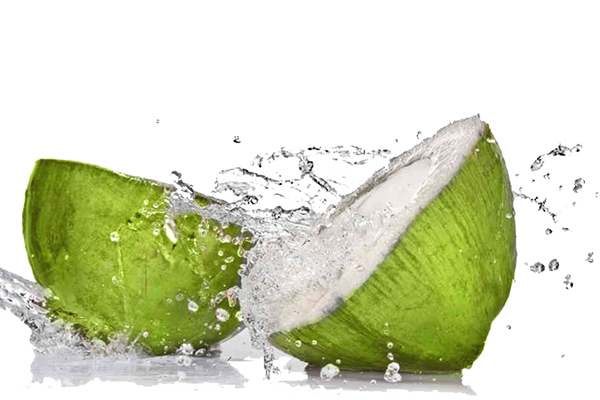 Coconut Drinks